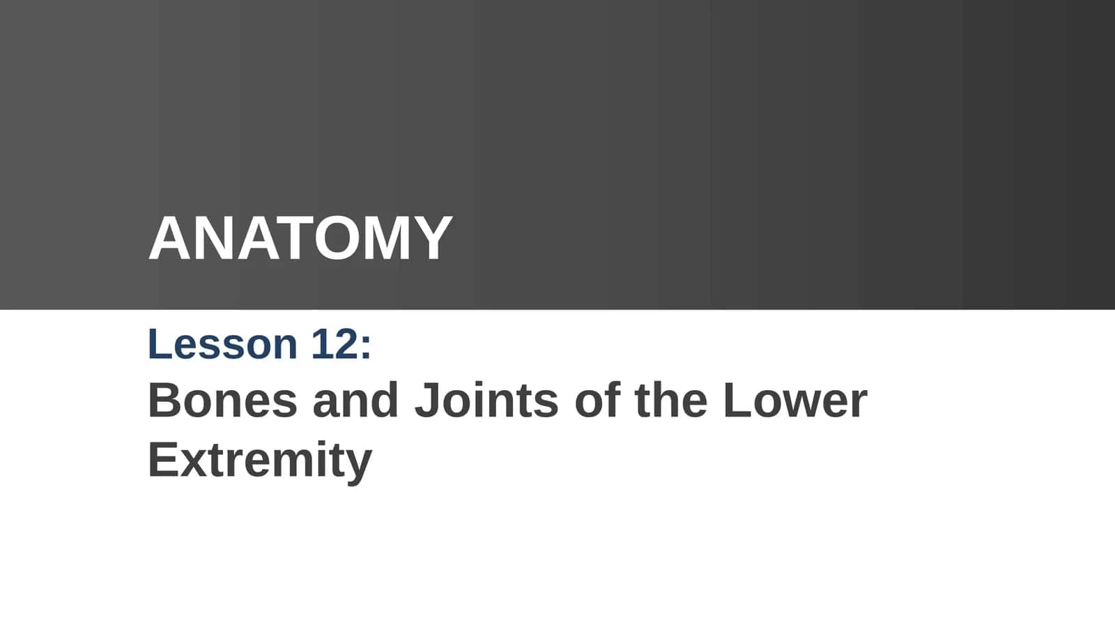 Bones and Joints of the Lower Extremity 1