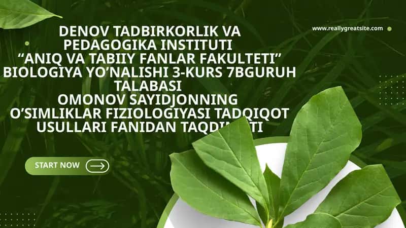 O’simlik hujayrasi energetikasi 1