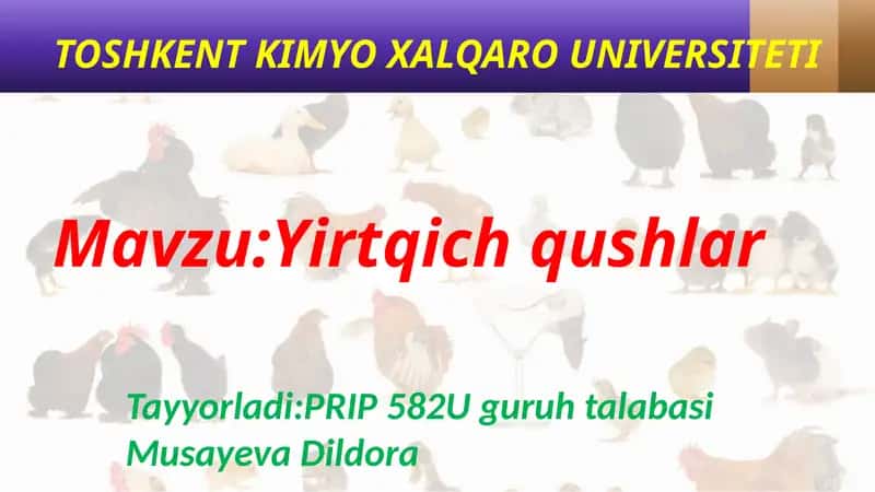 Yirtqichqushlar 1