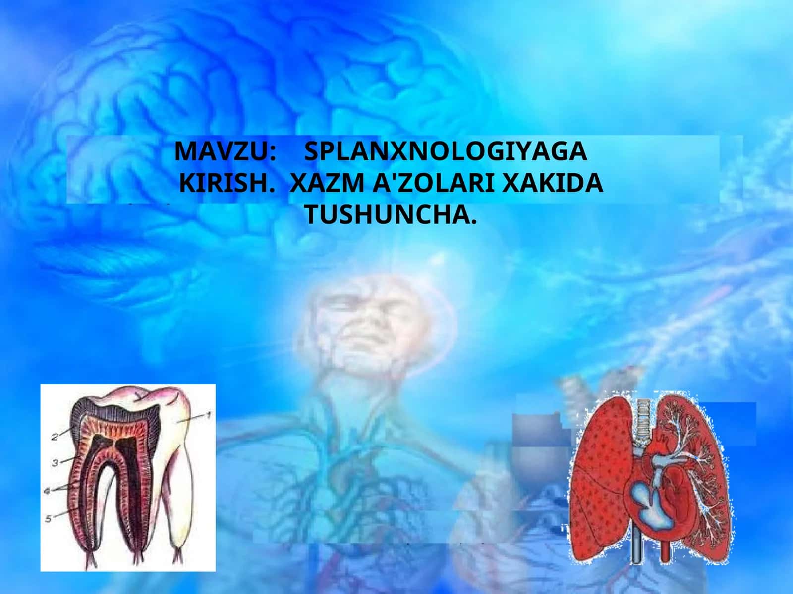 SPLANXNOLOGIYAGA 1