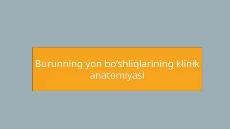 Burunning yon boʻshliqlarining klinik anatomiyasi 1