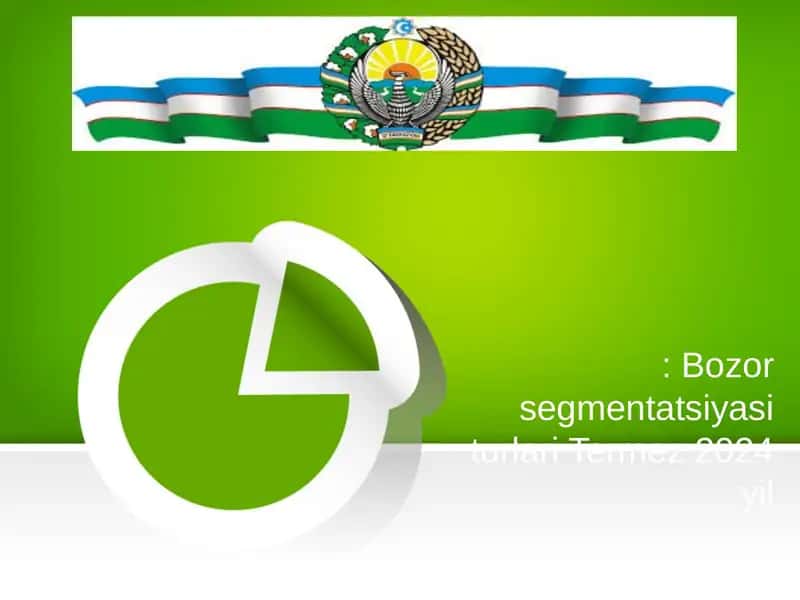 Bozor segmentatsiyasi turlari Termez 2024 yil 1