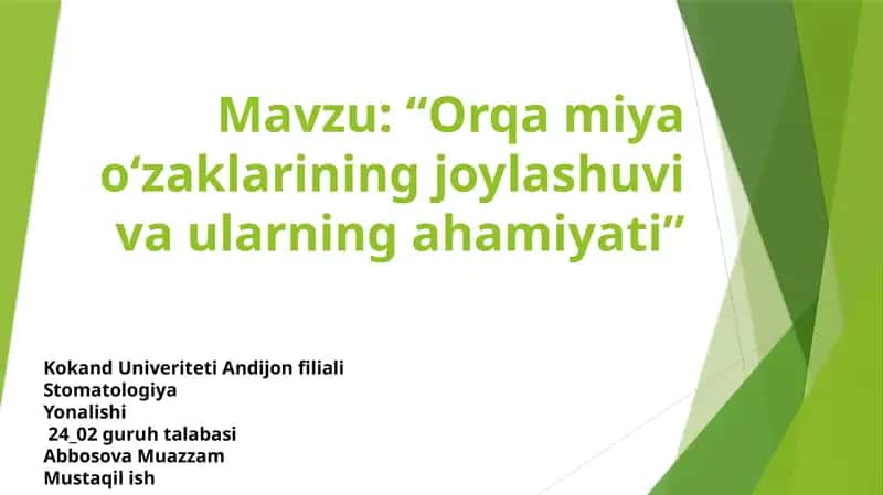 Orqa miya o‘zaklarining joylashuvi va ularning ahamiyati 1