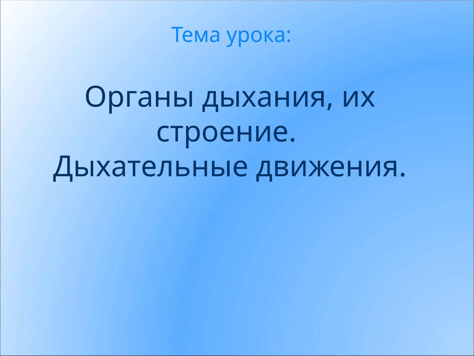 Органы дыхания, их строение.Дыхательные движения 1