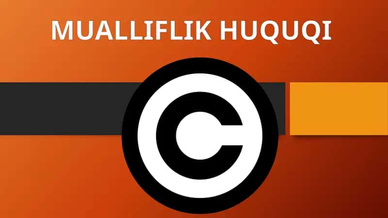 Mualliflik Huquqi 1