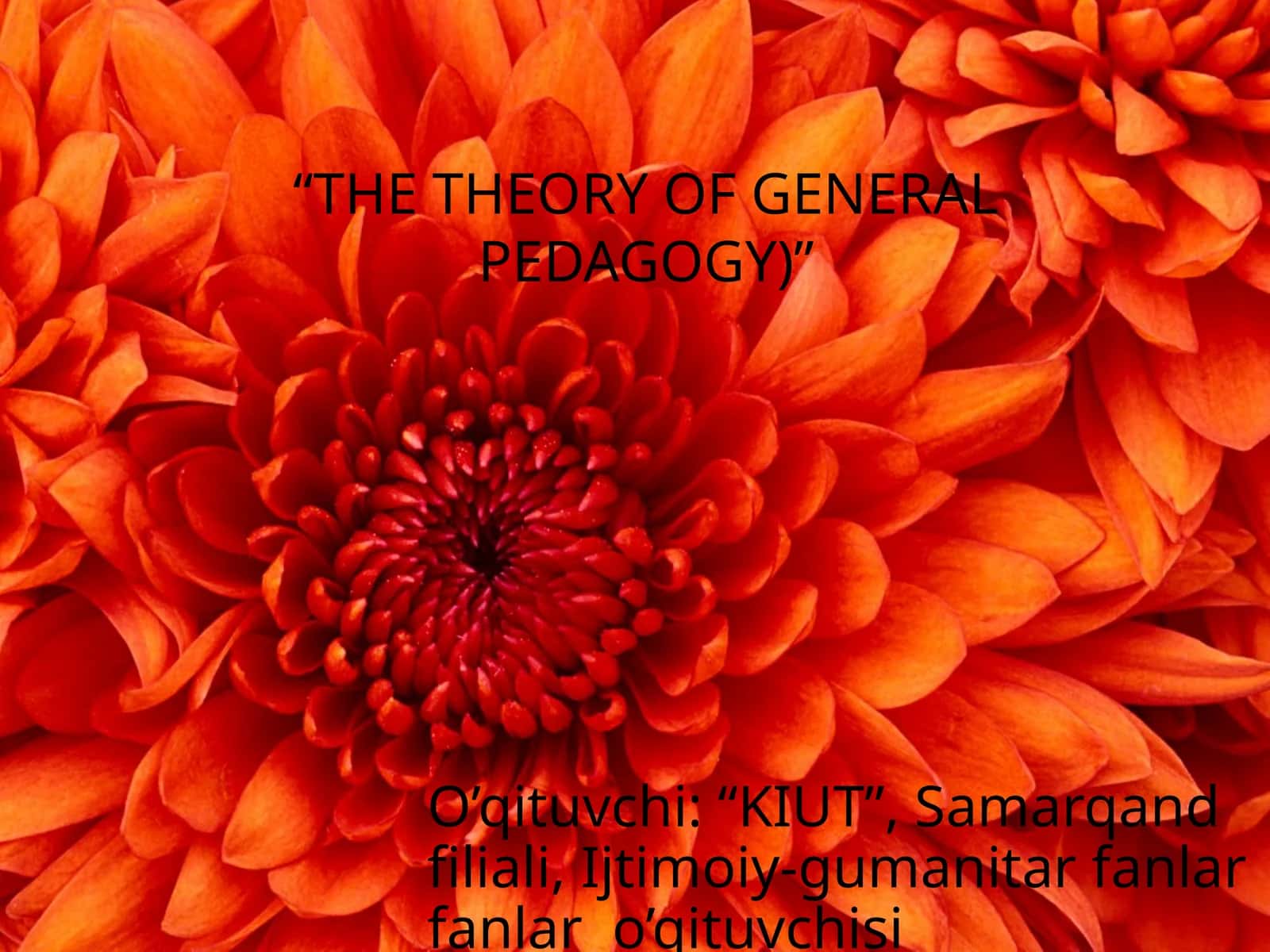 ТНЕ THEORY ОF GENERALPEDAGOGY 1