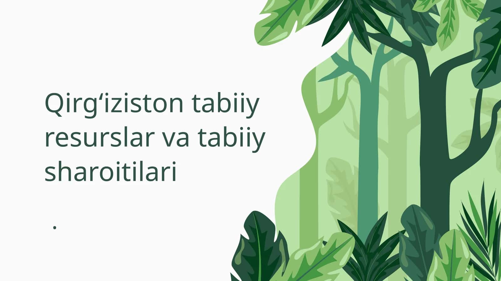 Qirgʻiziston tabiiy resurslar va tabiiy sharoitilari 1