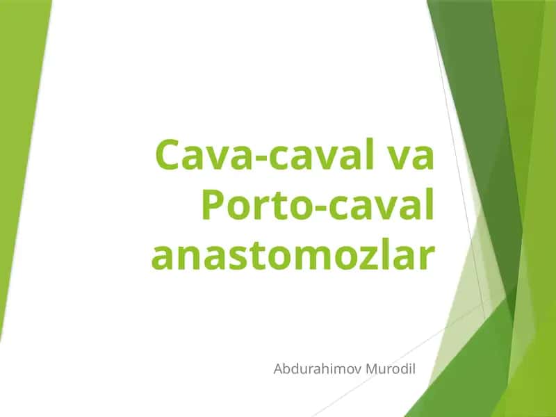 Cava-cavalvaPorto-cavalanastomozlar 1