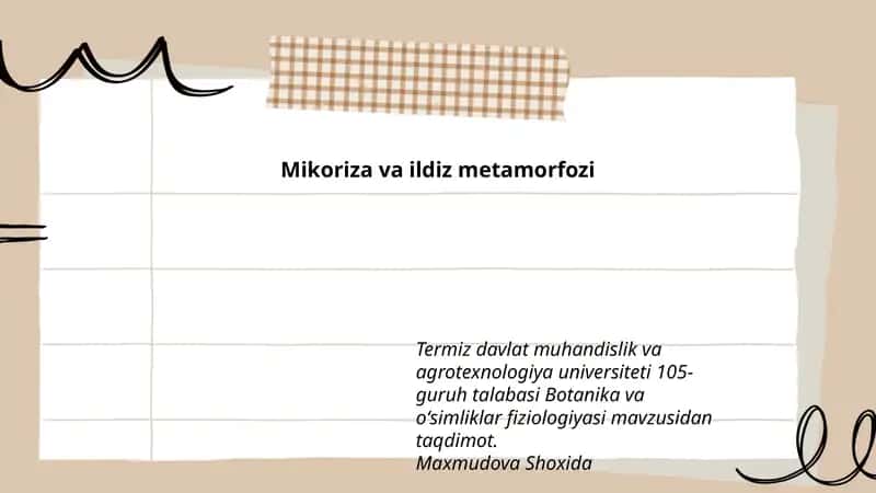 Mikoriza va ildiz metamorfozi 1