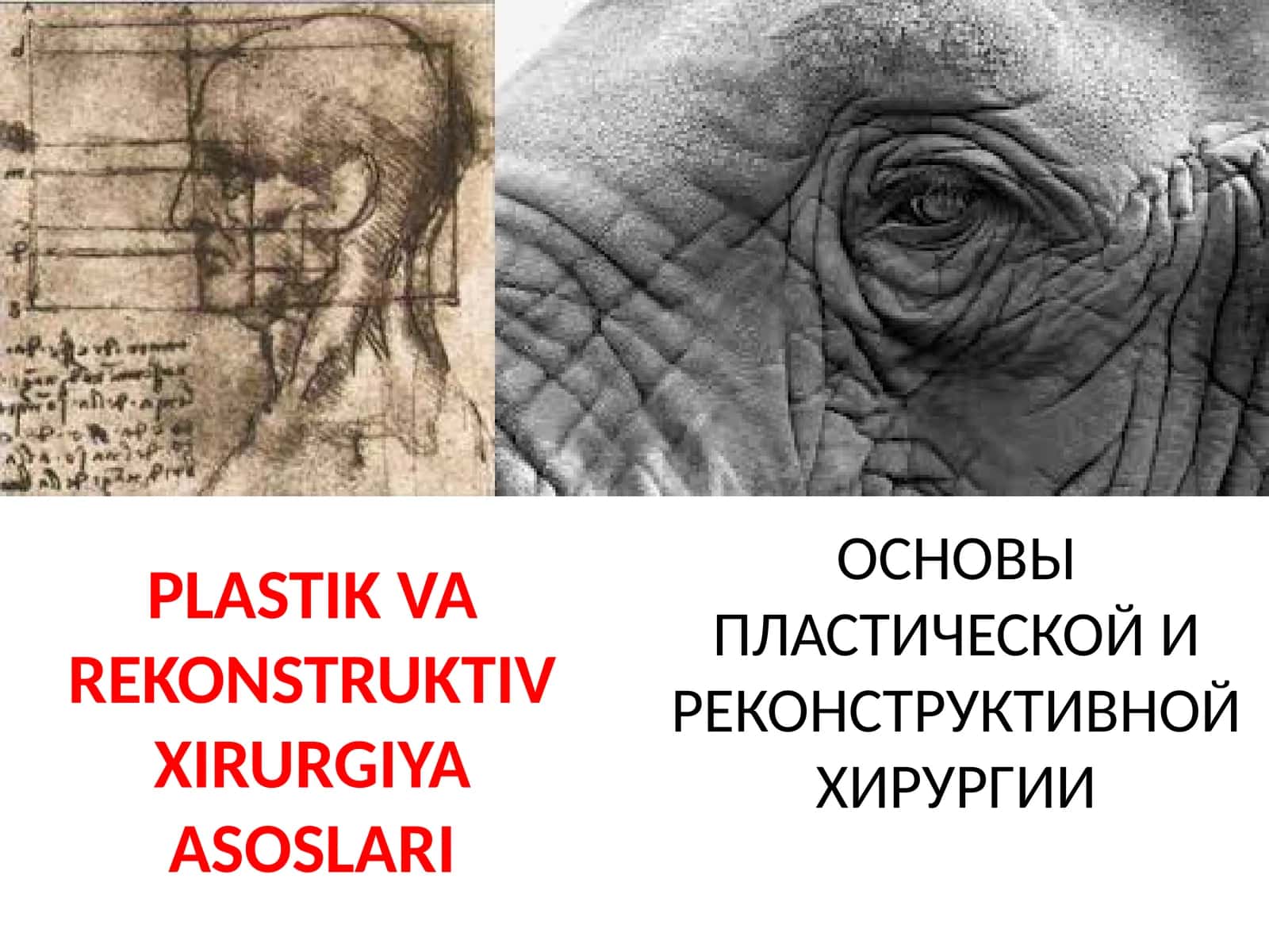PLASTIK VA RЕKONSTRUKTIV XIRURGIYA ASOSLARI 1