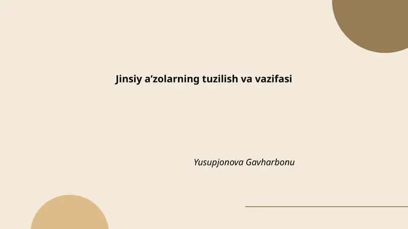 Jinsiy aʼzolarning tuzilish va vazifasi 1