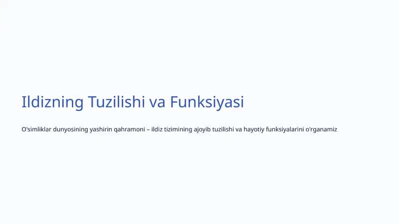 Ildizning Tuzilishi va Funksiyasi 1