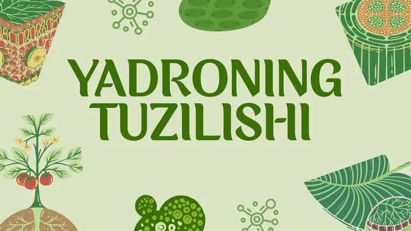 YADRONING TUZILISHI. 1