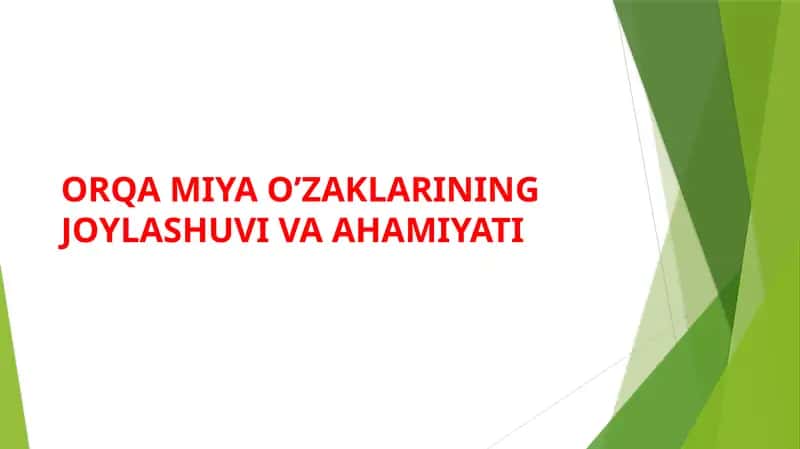 Orqa miya o’zaklarining joylashuvi va ahamiyati 1