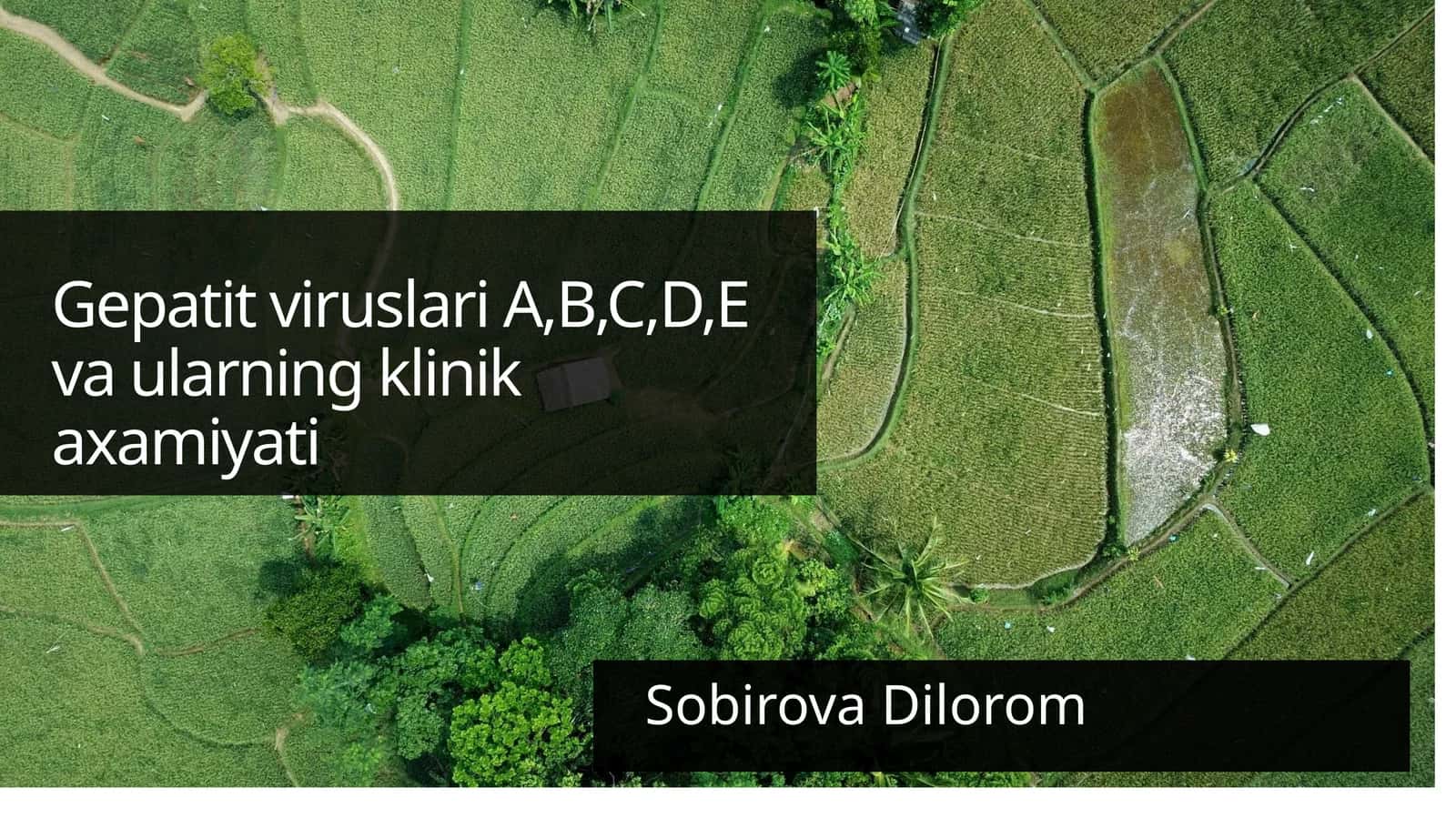 Gepatit Viruslari A, B, C, D, E Vaularning Klinik Axamiyati 1
