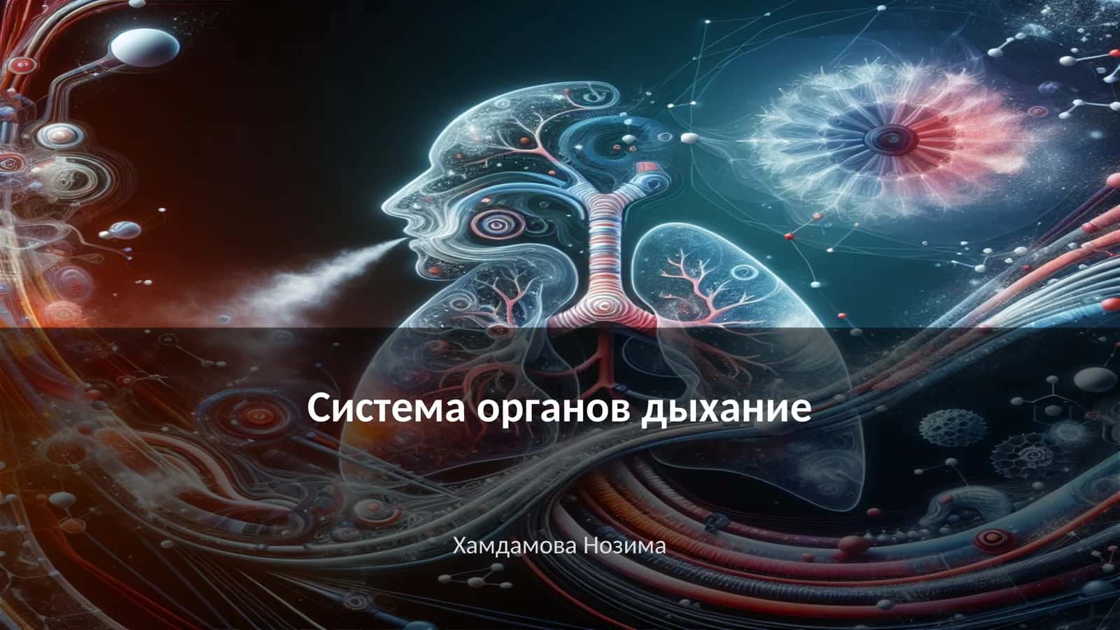 Система органов дыхание 1