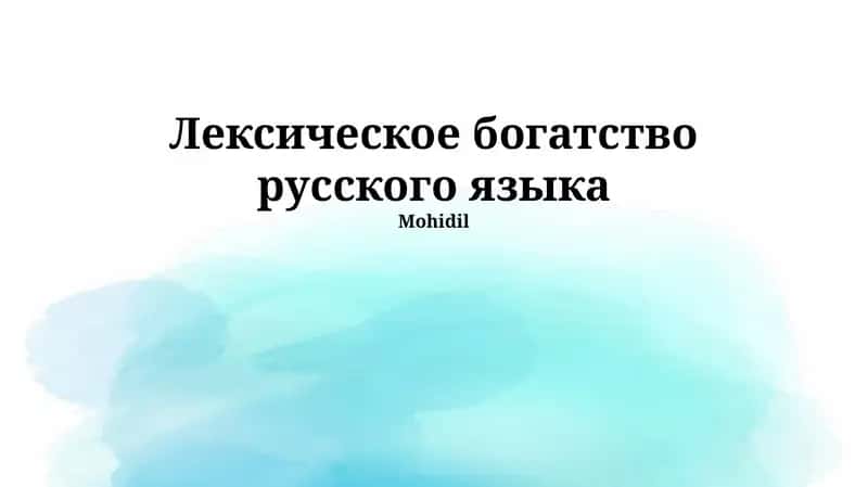 Лексическое богатство русского языка 1