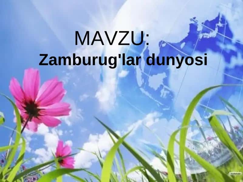 Zamburug'lar dunyosi 1