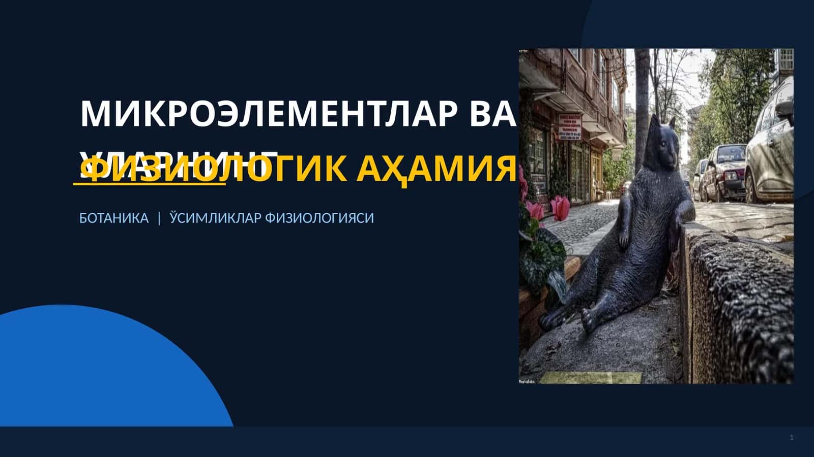 МИКРОЭЛЕМЕНТЛАР ВА УЛАРНИНГ 1