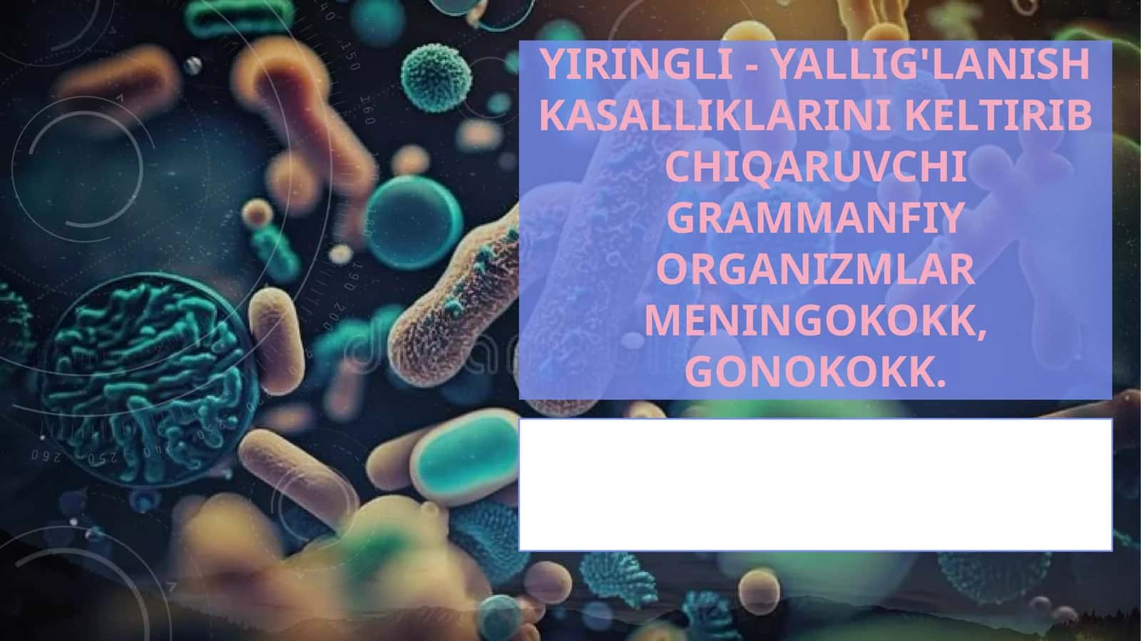 meningokokk, gonokokklar 1