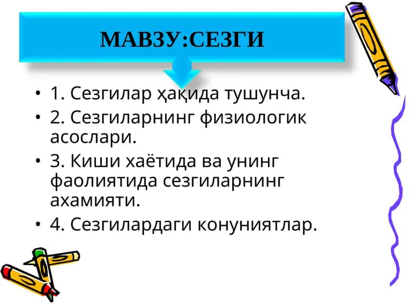 Сезги 1