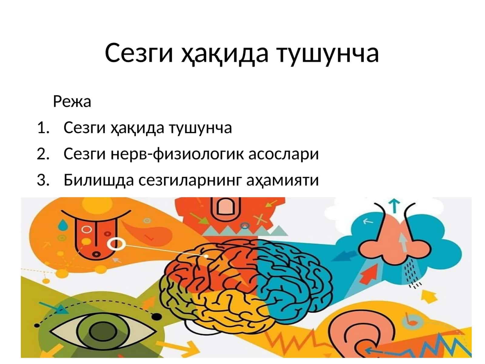 Сезги ҳақида тушунча 1