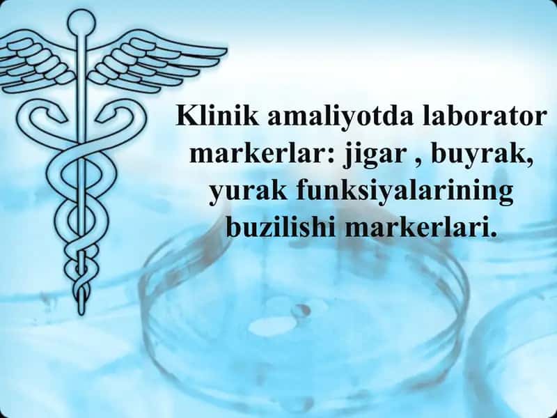 Laborator markerlar 1