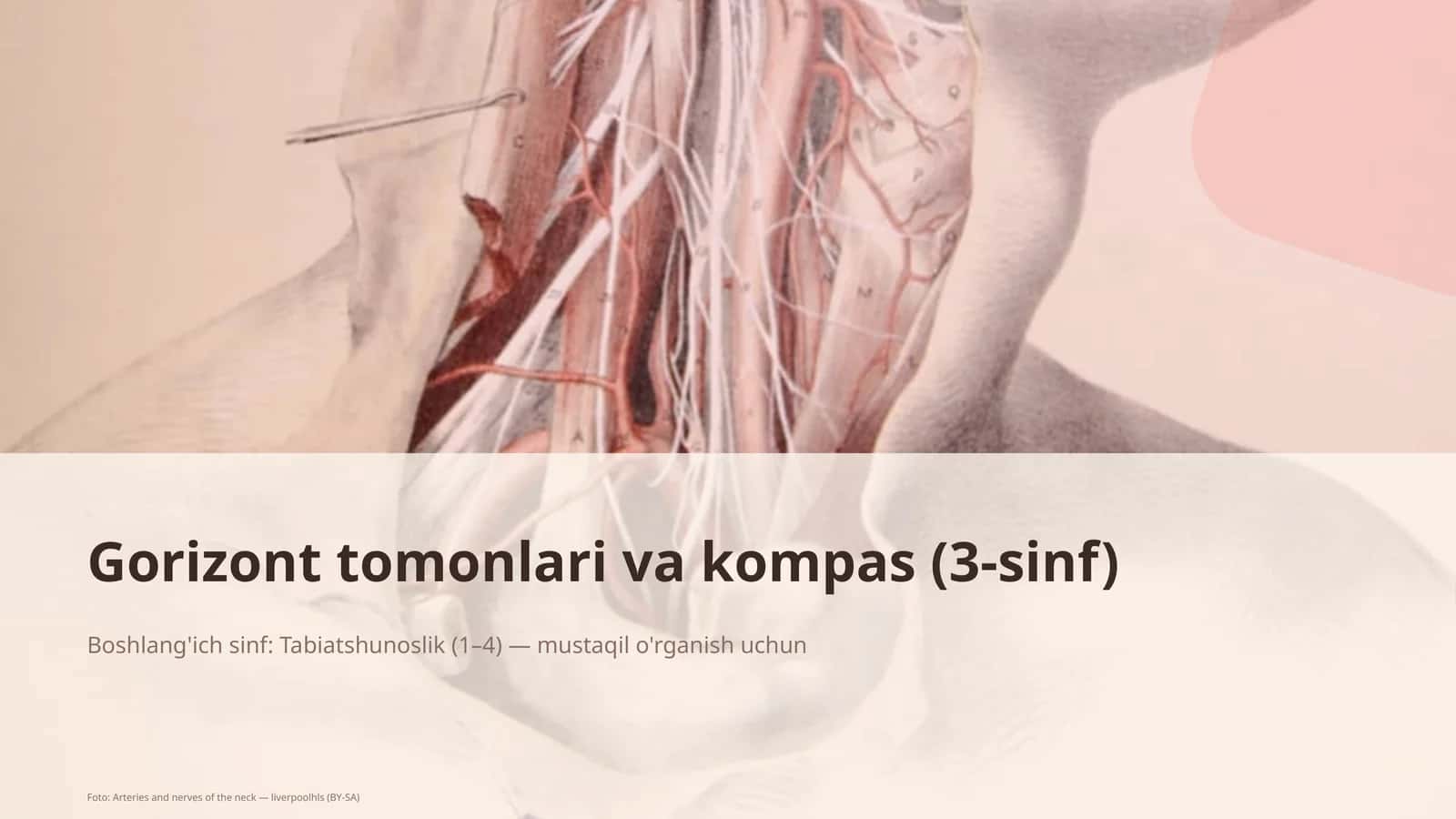 Gorizont tomonlari va kompas (3-sinf) 1