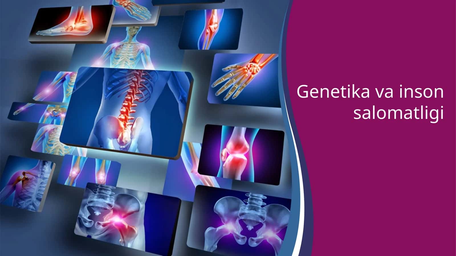 Genetikavainsonsalomatligi 1