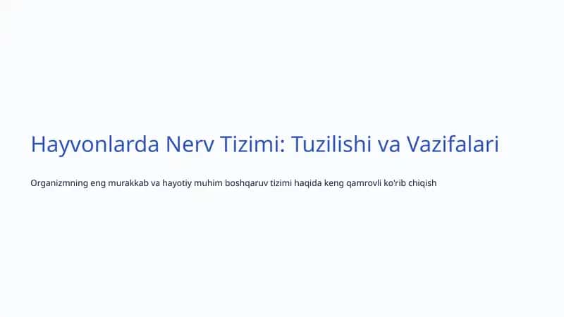 Nerv Tizimi: Tuzilishi va Vazifalari 1