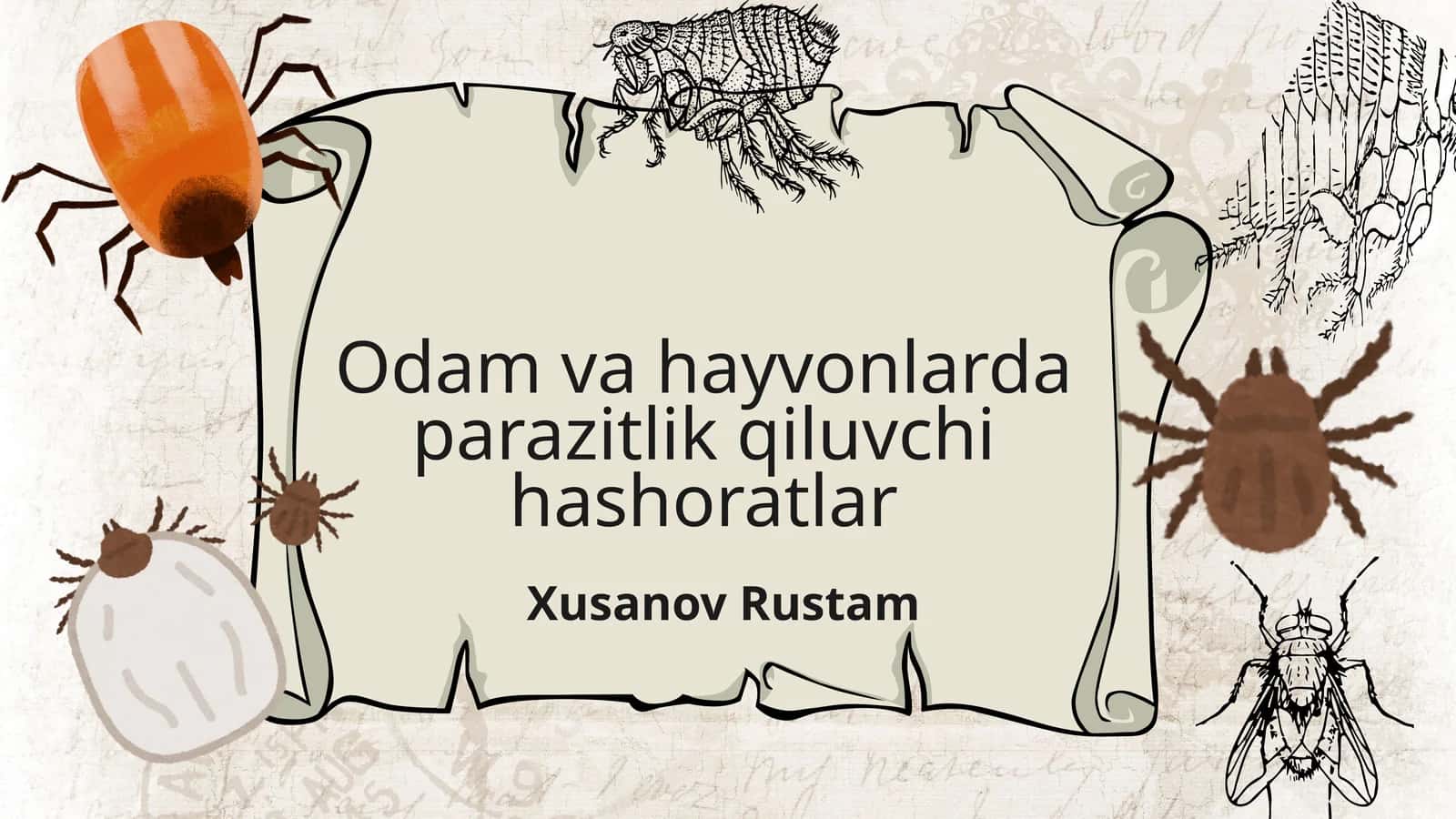 Odamlarda va hayvonlarda parazitlik qiluvchi hashoratlar 1