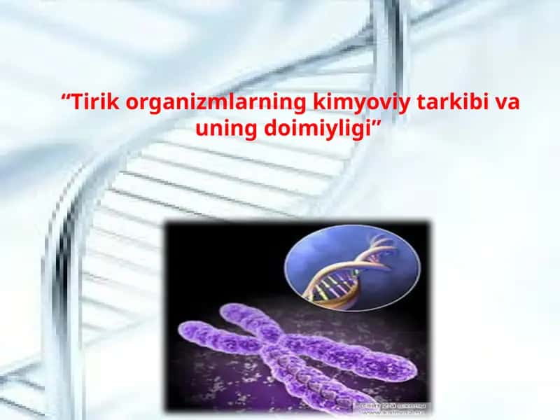 Tirik organizmlarning kimyoviy tarkibi va uning doimiyligi 1