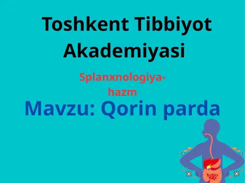 Hazm sistemasi qorin parda 1