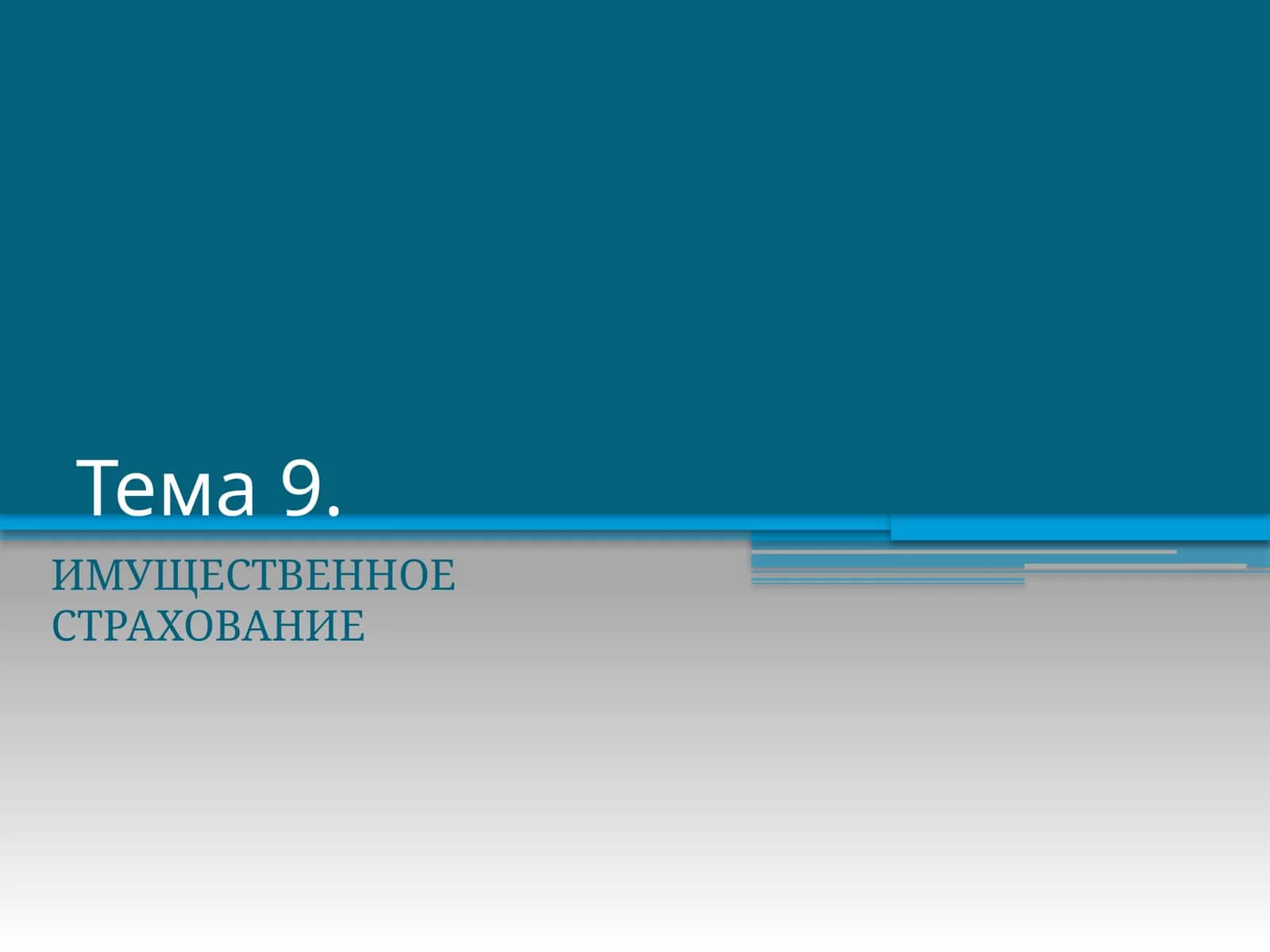 ИМУЩЕСТВЕННОЕ СТРАХОВАНИЕ 1