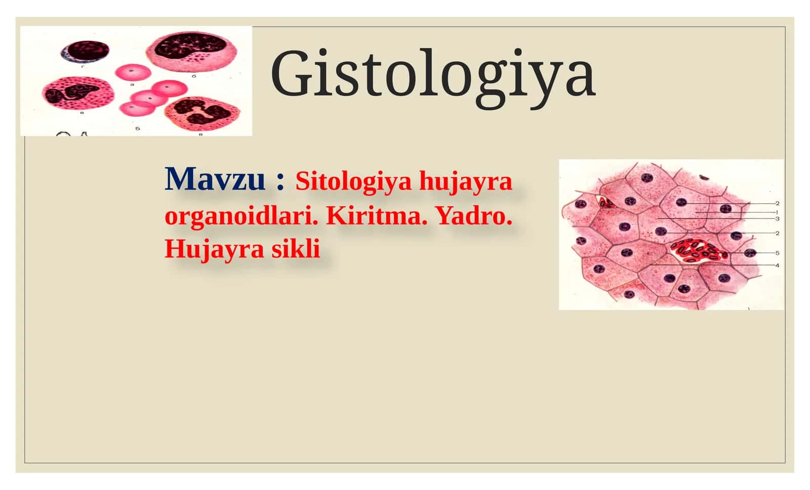Gistologiya 1