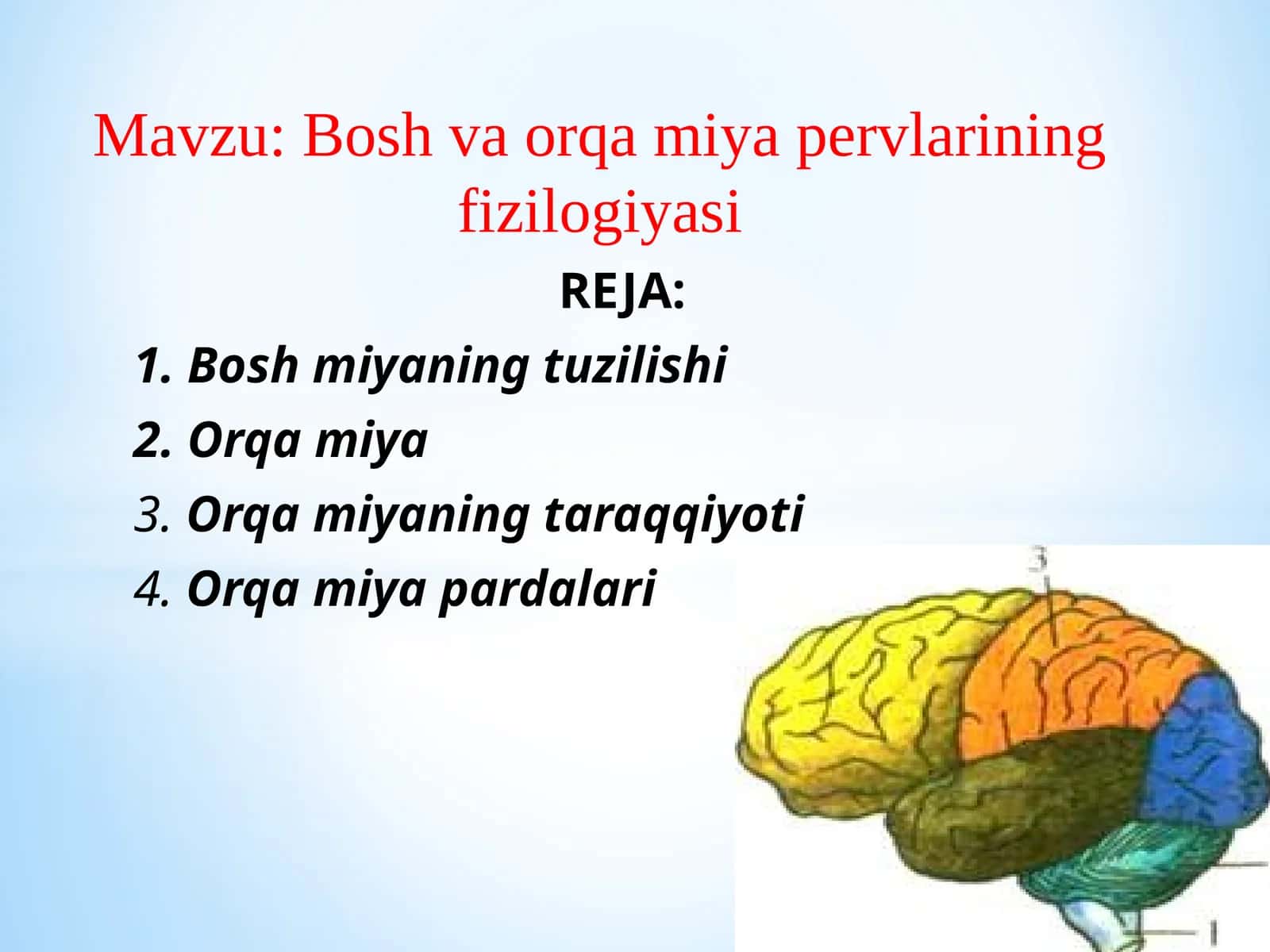 Bosh va orqa miya pervlarining fizilogiyasi 1