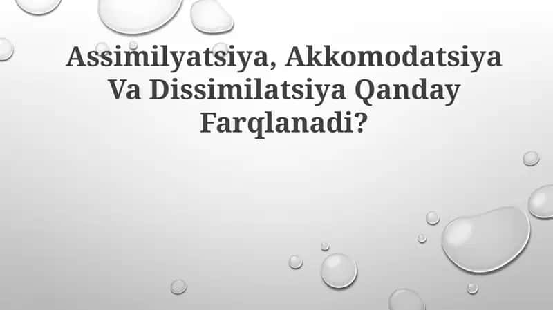 Assimilyatsiya, Akkomodatsiya Va Dissimilatsiya 1