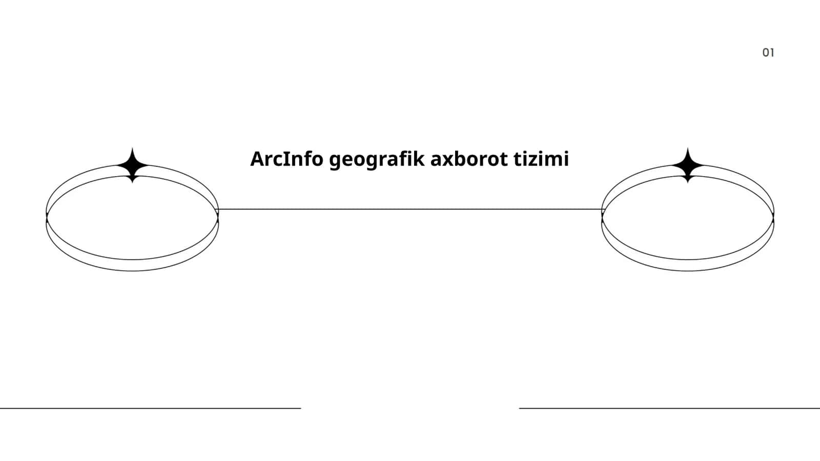 ArcInfo geografik axborot tizimi 1