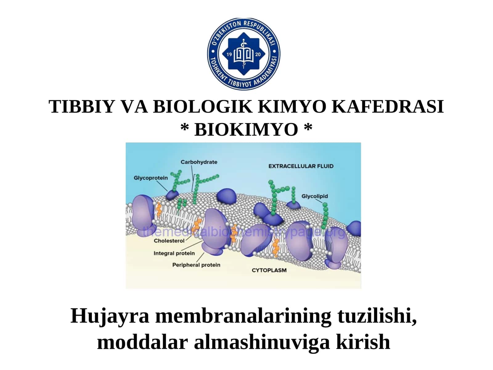 TIBBIYVАBIОLОGIKKIMYOKАFЕDRАSI*BIОKIMYO* 1