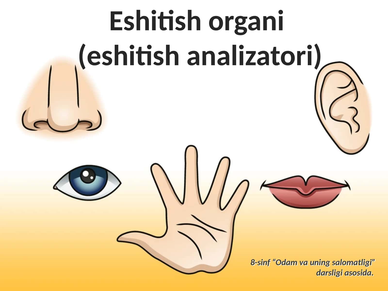 Eshitish organi (eshitish analizatori) 1