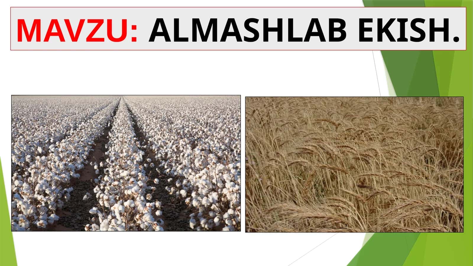 ALMASHLAB EKISH 1