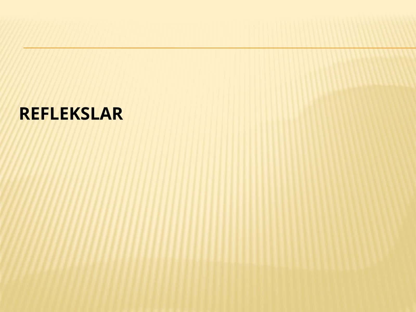 Reflekslar 1