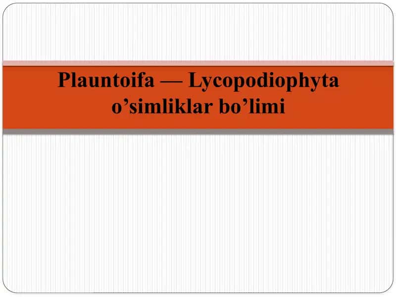 Plauntoifa — Lycopodiophyta bo’limi 1
