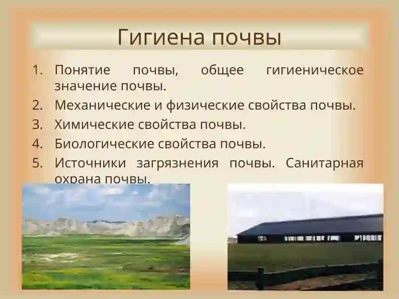 Гигиена почвы
