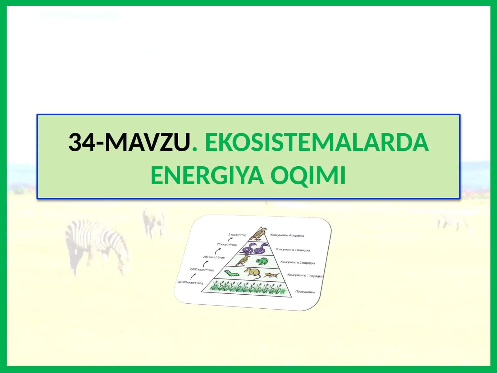 Ekosistemalarda energiya oqimi 1