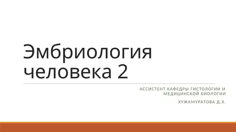 Эмбриология человека 2 1