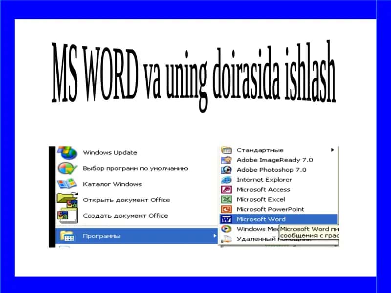 MS WORD 1