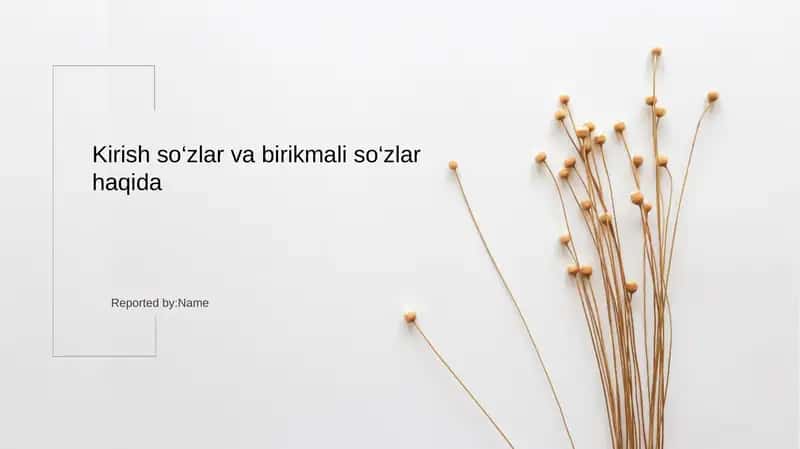Kirish soʻzlar 1