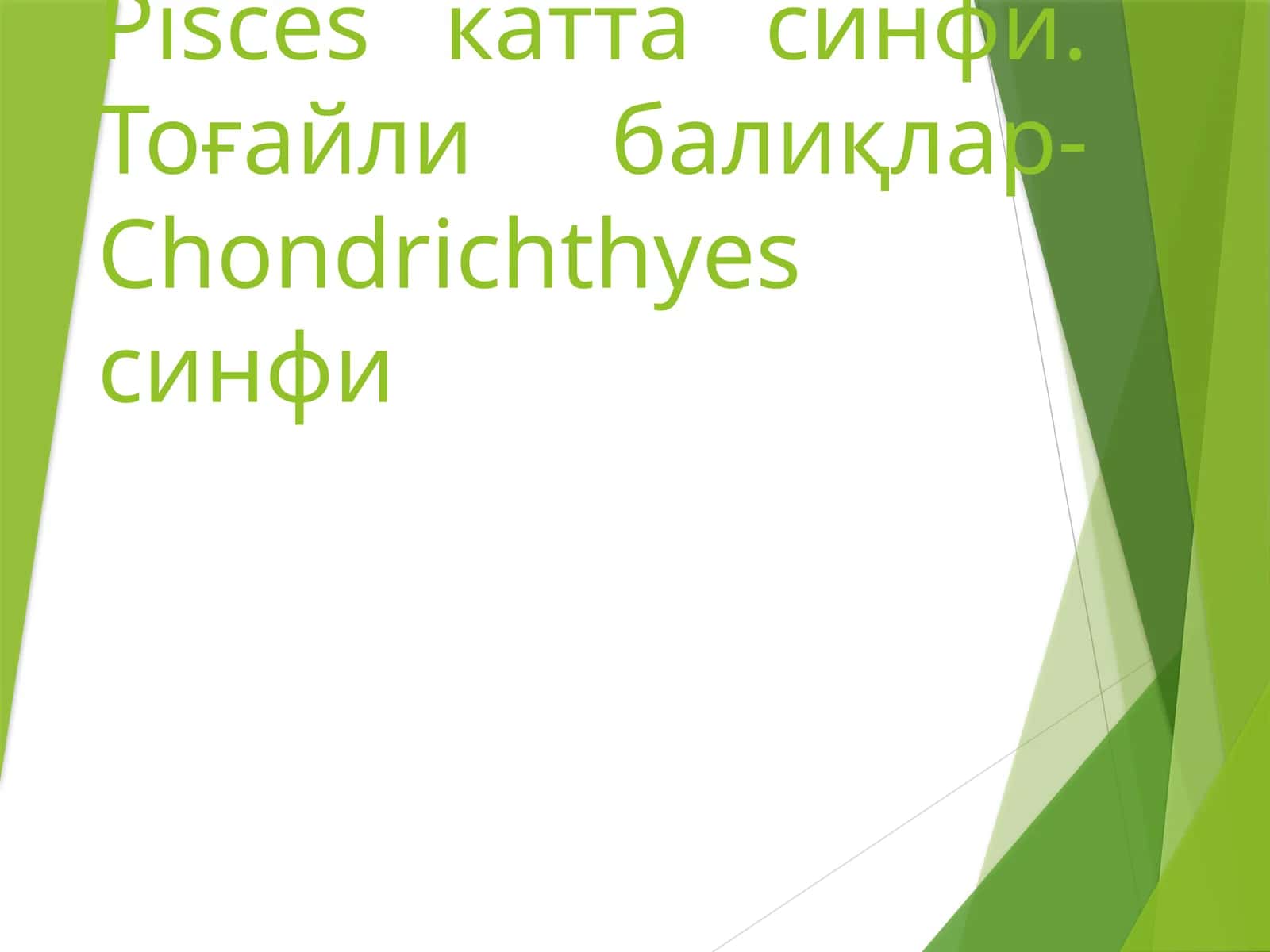 Тоғайли балиқлар-Pisces катта синфи 1