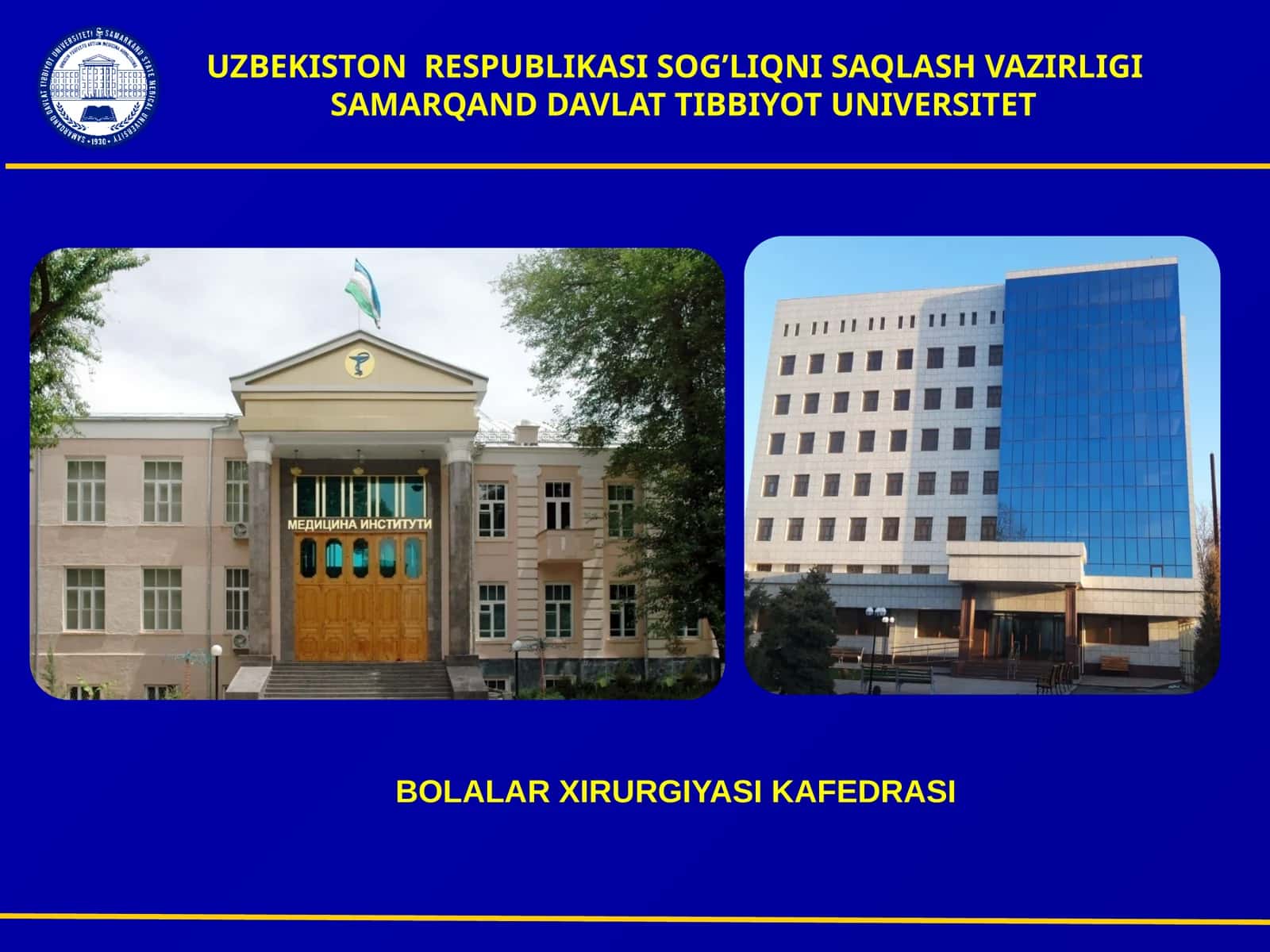 BOLALARDA DIAFRAGMA CHURRASI 1